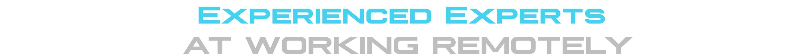 Bionic_Images_experienced_experts_at_working_remote_wide